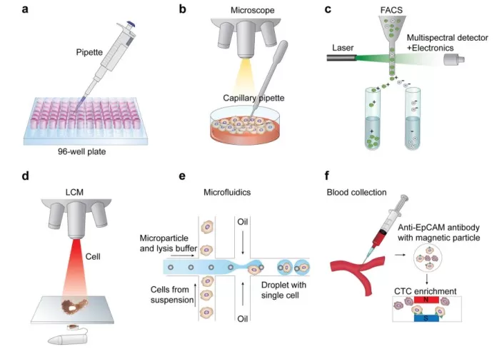 Figure 2. The technology of single-cell isolation (Hwang et al., 2018)